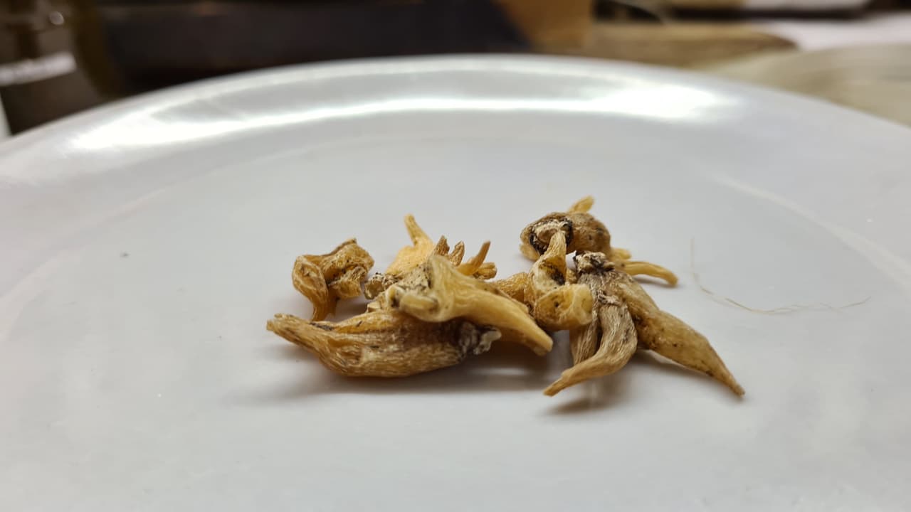 Salab Panja