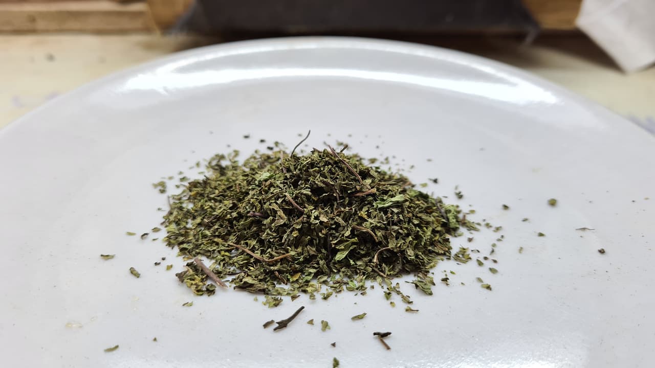 Podina