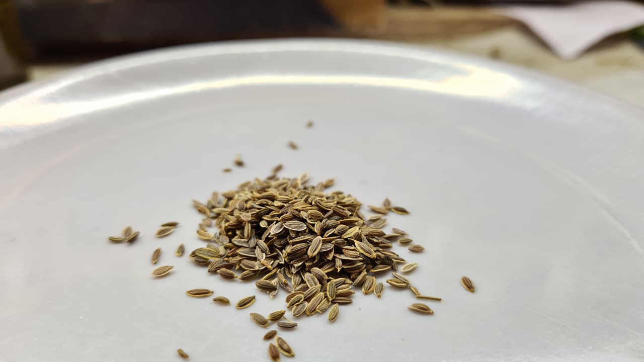 Tukhm Soya