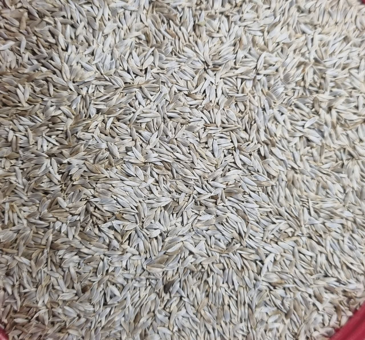 Tukhm Kahu