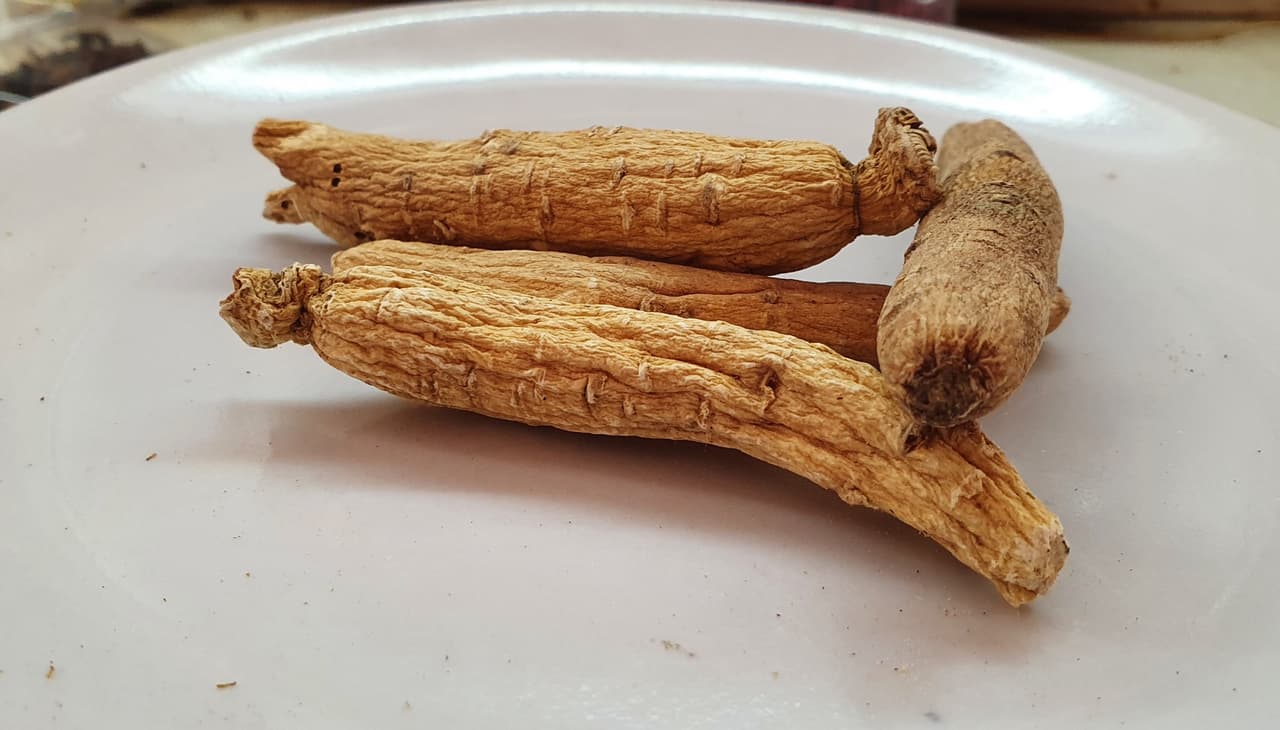 Ginseng