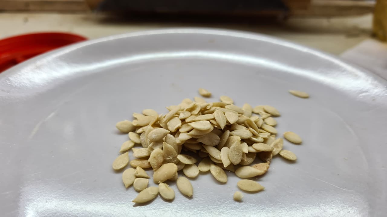 Maghz Tarbooz