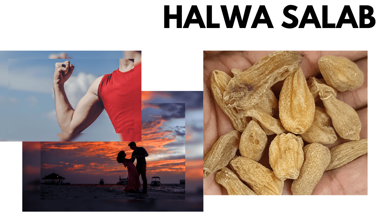 Halwa Salab - Power Booster