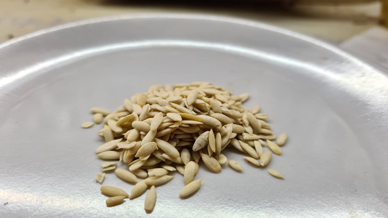 Maghz Kheera