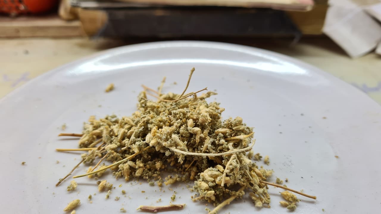 Brinjasif