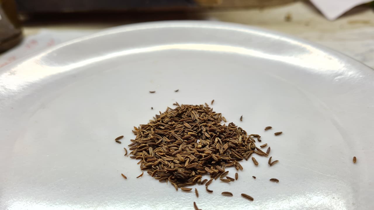 Kala Zeera