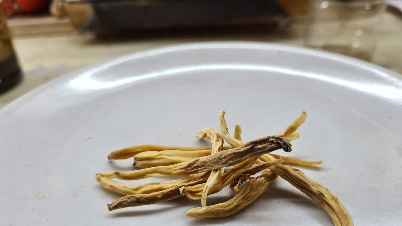 Musli Safed