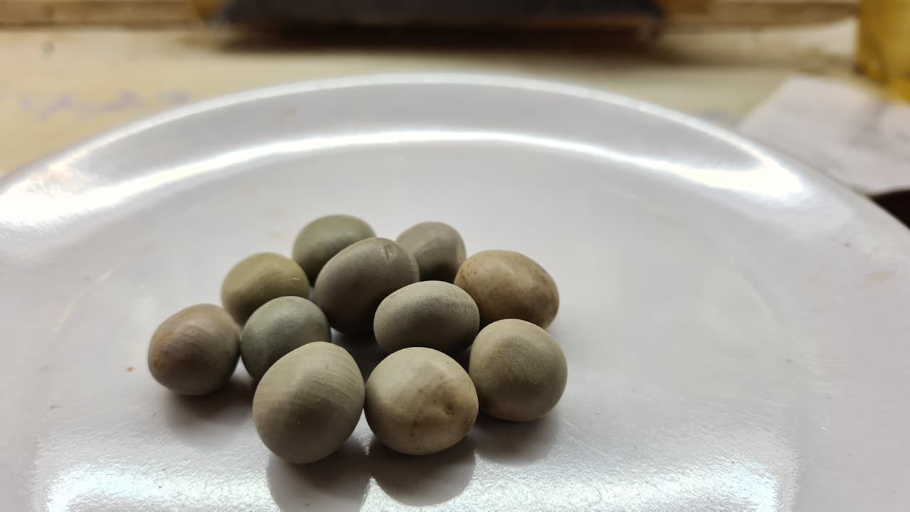 Karanjwa