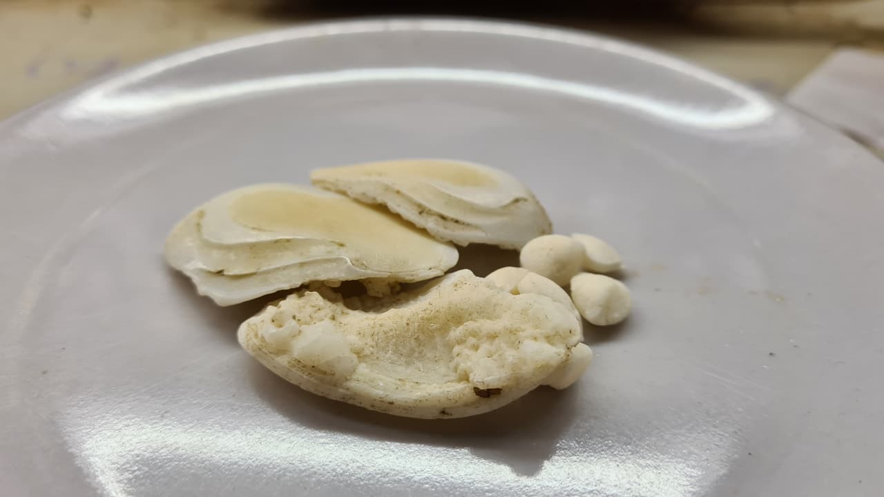 Sang Sare Mahi
