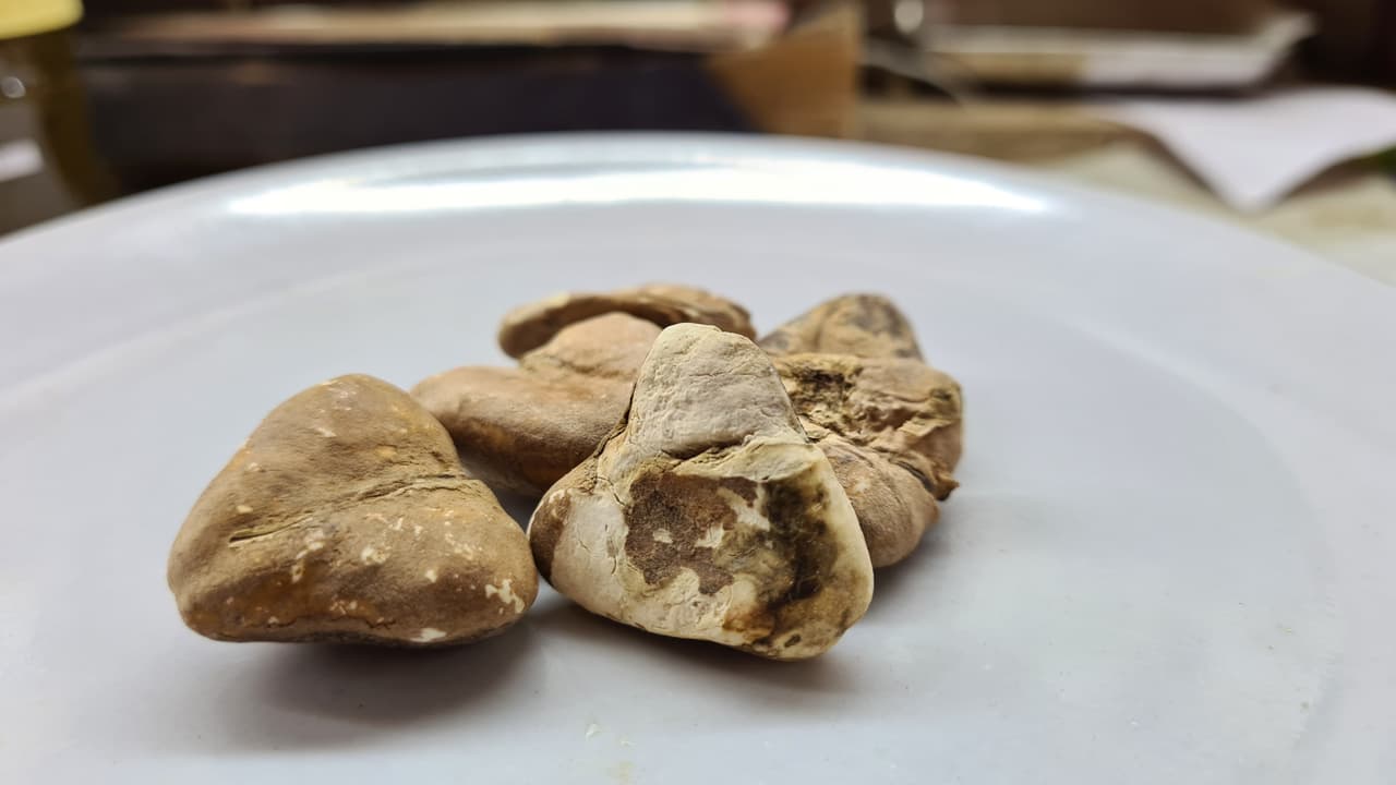Singhada Khushk